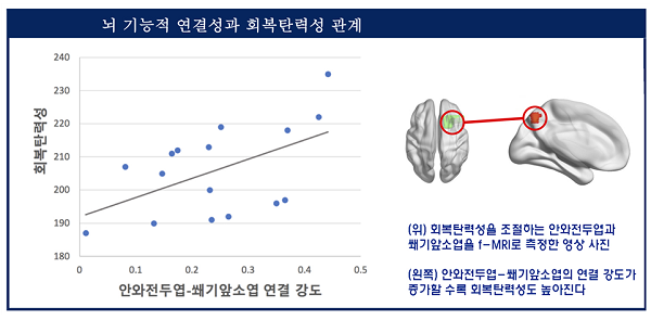 서울대병원, “진보-보수 다른 생각, 뇌 연결망 차이와 관련”